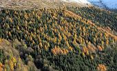 ZUC DI VALBONA ( VALLE IMAGNA ) giovedì 12 Novembre 2009 -  FOTOGALLERY